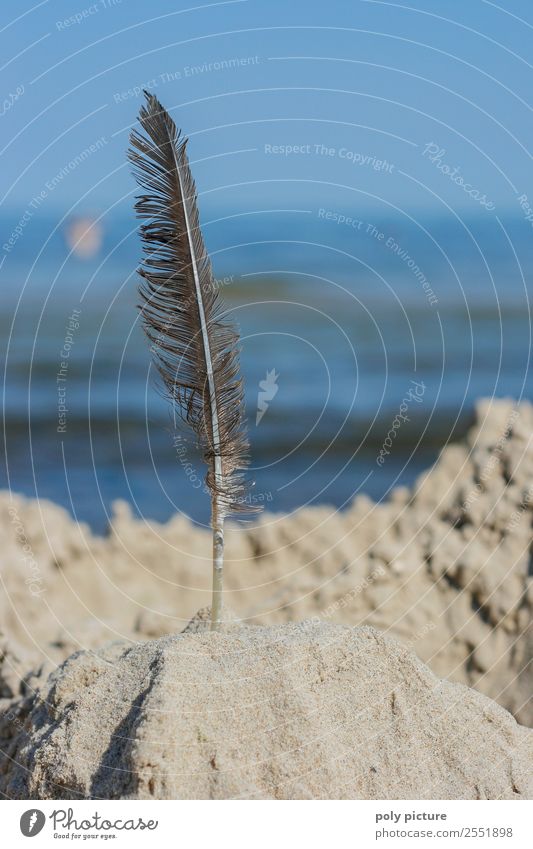 Sandcastle with feather at the beach Leisure and hobbies Playing Vacation & Travel Tourism Trip Summer Summer vacation Sun Sunbathing Beach Sky Cloudless sky