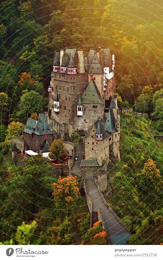 Castle Eltz Vacation & Travel Tourism Adventure Living or residing Nature Landscape Sunrise Sunset Flower Forest Hill Mountain House (Residential Structure)