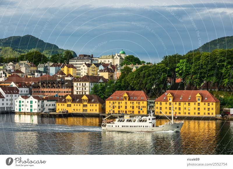 View to the city Bergen in Norway Relaxation Vacation & Travel Tourism Ocean Mountain House (Residential Structure) Nature Landscape Water Clouds Tree Forest