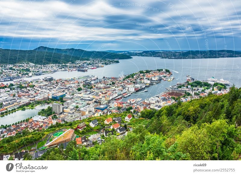 View to the city Bergen in Norway Relaxation Vacation & Travel Tourism Ocean Mountain House (Residential Structure) Nature Landscape Water Tree Forest Hill Town