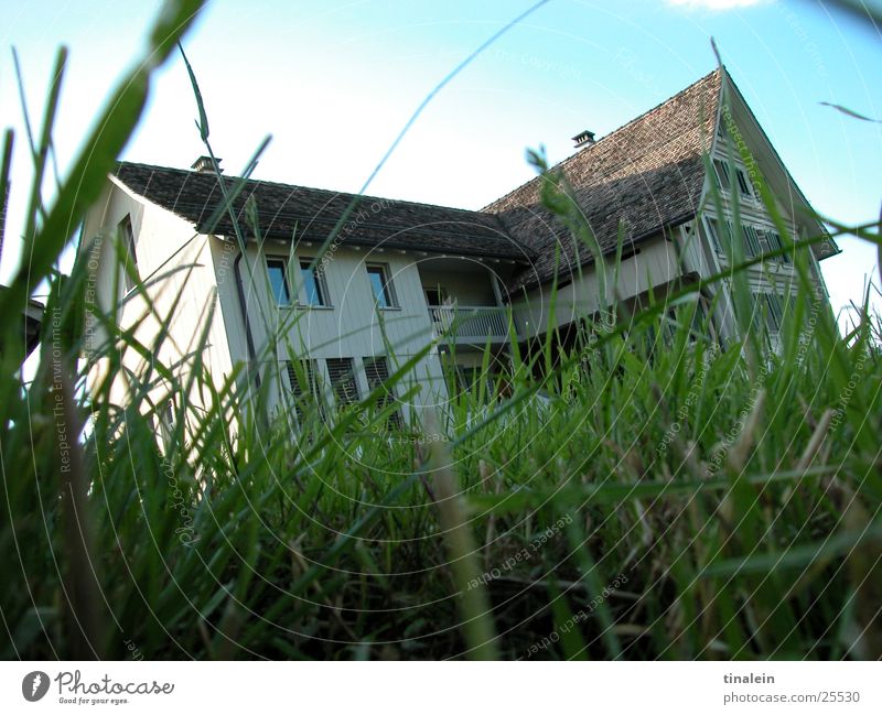 Swiss country idyll Farm Switzerland Meadow Grass Green House (Residential Structure) Architecture Americas Sky Nature Perspective