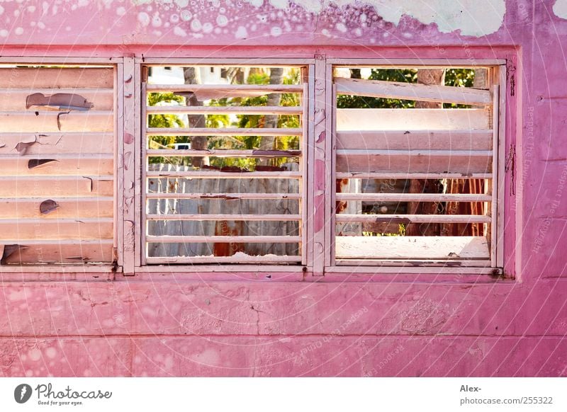rosy prospects cabaret Dominican Republic House (Residential Structure) Hut Ruin Building Window Old Pink Esthetic Decline Colour photo Exterior shot