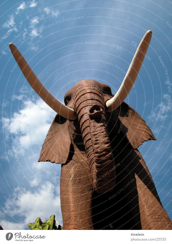 stone jumbo Elephant Africa Clouds Sculpture Brown Trunk Set of teeth Sky Shadow Perspective Stone