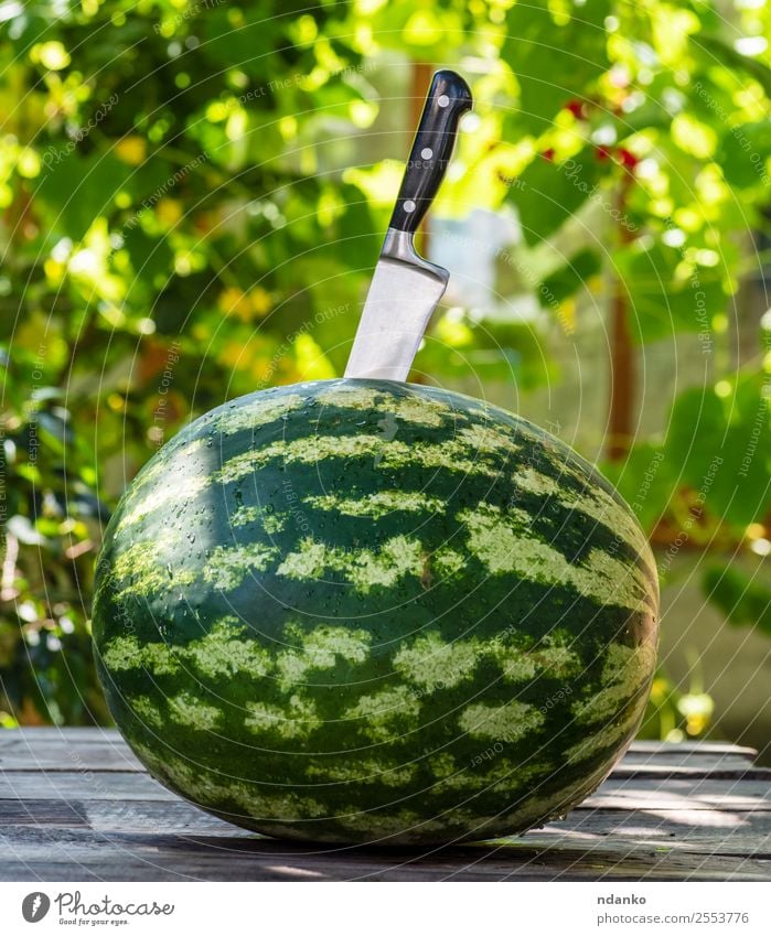 green round watermelon Fruit Dessert Nutrition Vegetarian diet Diet Knives Summer Nature Eating Fresh Delicious Natural Juicy Green Colour Water melon knife