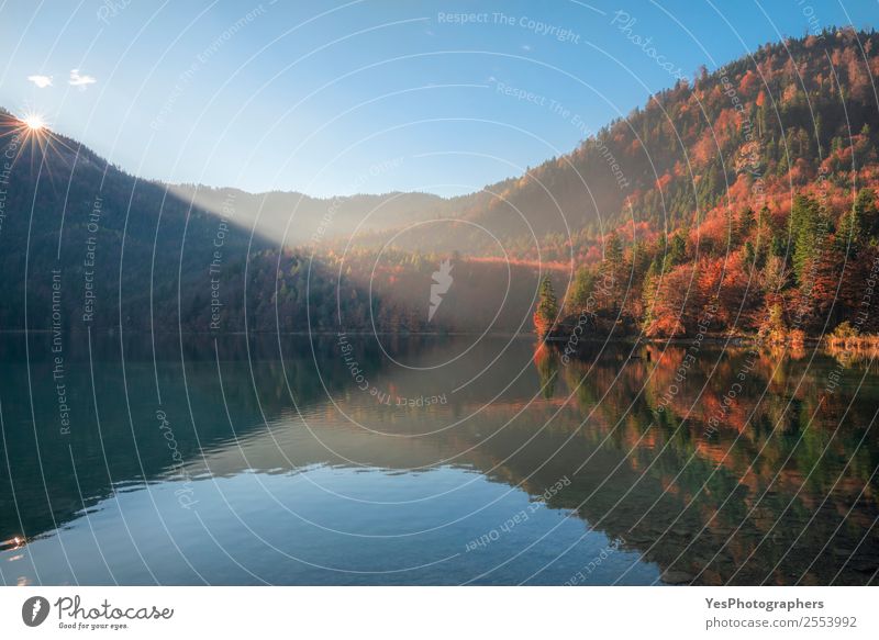 Sunshine over autumn forest and lake reflection Vacation & Travel Trip Nature Landscape Autumn Beautiful weather Tree Forest Hill Lake Natural Alpsee Bavaria