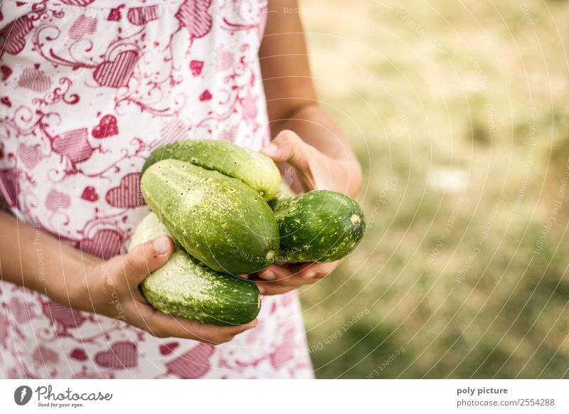 Children's hands hold freshly harvested cucumbers Healthy Eating Leisure and hobbies Playing Girl Young woman Youth (Young adults) Family & Relations Infancy