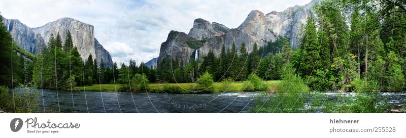 El Capitan Yosemite Nation Park Beautiful Vacation & Travel Tourism Freedom Summer Mountain Environment Nature Landscape Sky Clouds Tree Grass Meadow Forest