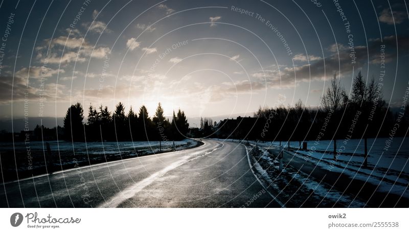 Searching the distance Environment Nature Landscape Plant Sky Clouds Sun Winter Beautiful weather Snow Tree Field Forest Street Curve Illuminate Fresh