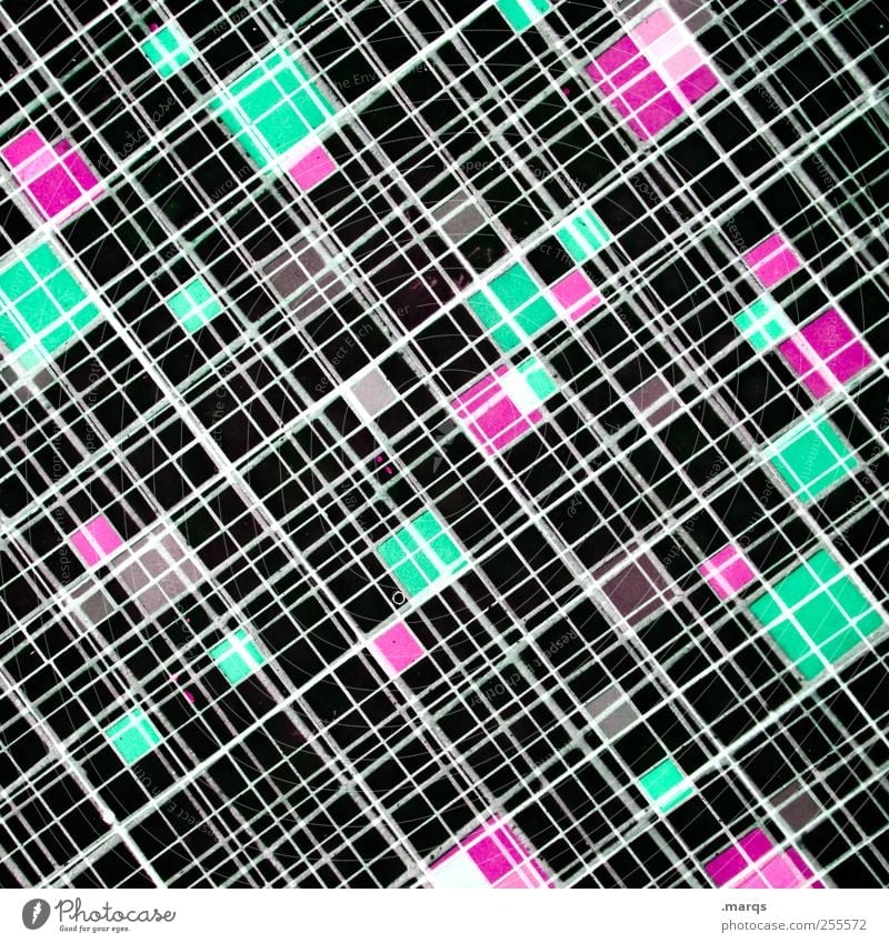 web Elegant Style Design Decoration Line Exceptional Cool (slang) Hip & trendy Uniqueness Green Pink Black Chaos Colour Advancement Network Future Illustration