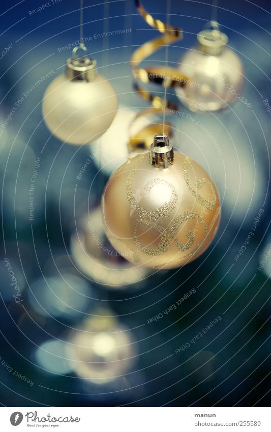 baubles Feasts & Celebrations Christmas & Advent Sign Sphere Christmas decoration Glitter Ball Blue Gold Festive Colour photo Interior shot Deserted