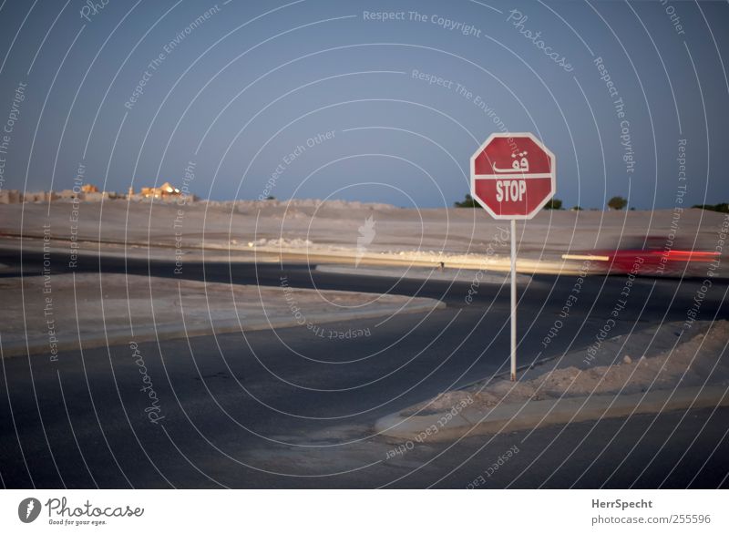 You better stop Nature Landscape Sand Desert Transport Motoring Street Crossroads Road sign Vehicle Car Sign Characters Driving Blue Gray Red Arabic script
