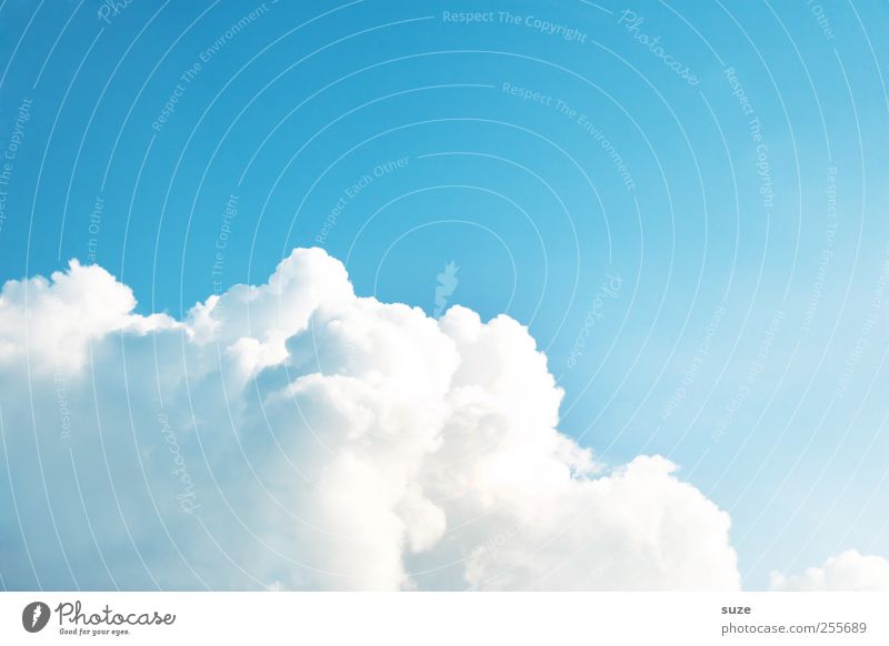 cumulus cloud Environment Elements Air Sky Clouds Climate Weather Beautiful weather Authentic Soft Blue White Heavenly Cumulus Background picture