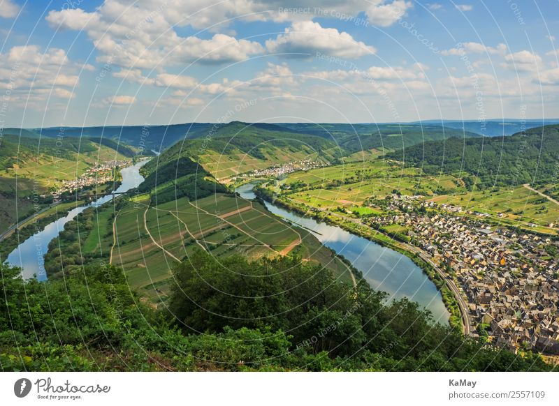Moselle loop at Bremm Nature Landscape Water Hill River brake Germany Europe Village Small Town Green Vacation & Travel Environment Vineyard Wine growing