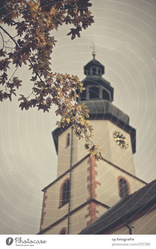 without words Autumn Plant Tree Leaf Small Town Old town Church Manmade structures Building Architecture Holy Church spire baroque Exterior shot Day Evening