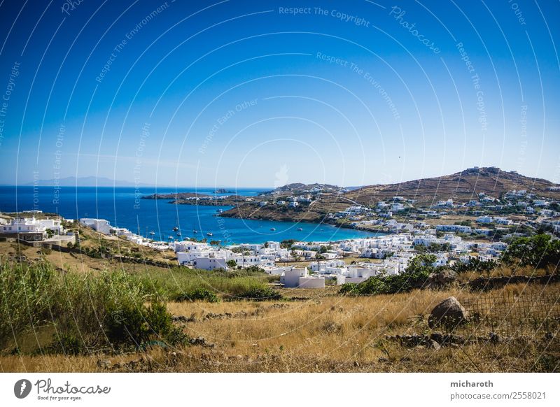 Mykonos Village Fishing (Angle) Vacation & Travel Tourism Trip Adventure Far-off places Freedom Sightseeing Summer vacation Ocean Landscape Plant Cloudless sky