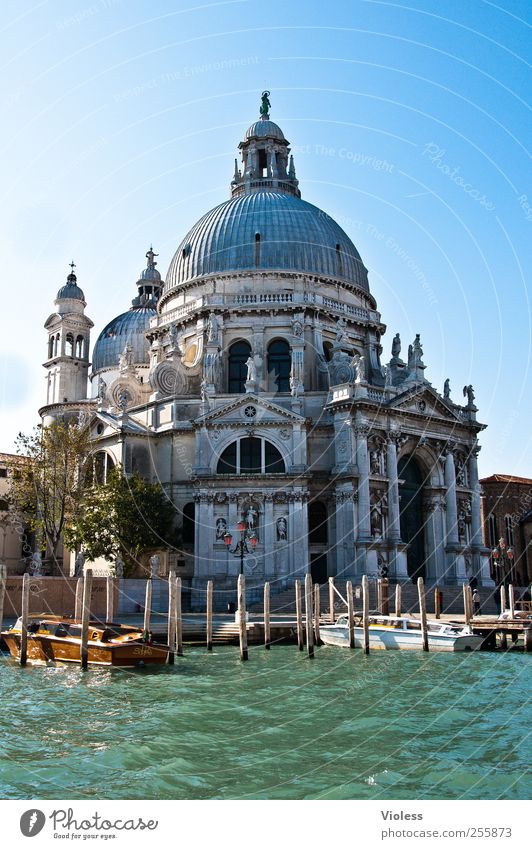 Santa Maria Della Salute Port City Downtown Old town Church Dome Manmade structures Building Architecture Tourist Attraction Monument Belief Religion and faith