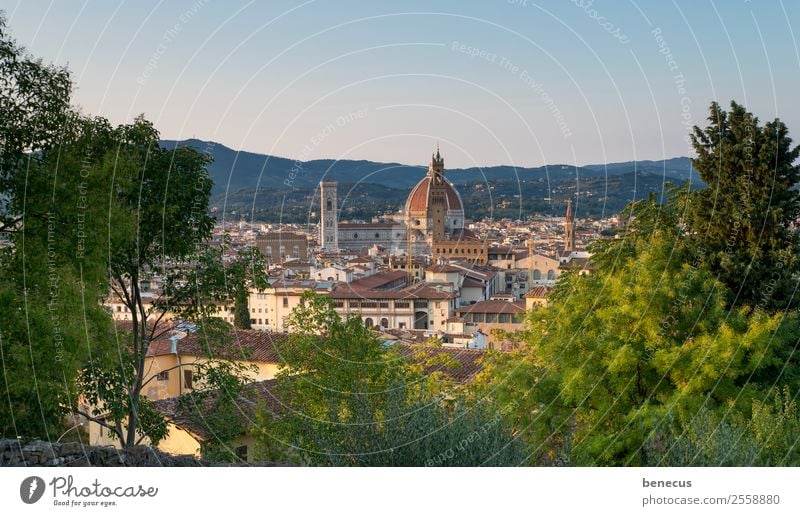 View of Florence Italy Europe Town Church Dome Tower Manmade structures Building Architecture Domed roof Tourist Attraction Landmark Beautiful Brown Green