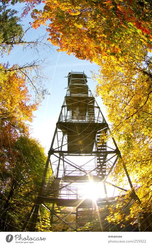 autumn outlook Vacation & Travel Tourism Trip Sightseeing Summer Sun Mountain Hiking Nature Landscape Sky Autumn Climate Weather Tree Leaf Forest Hill Tower