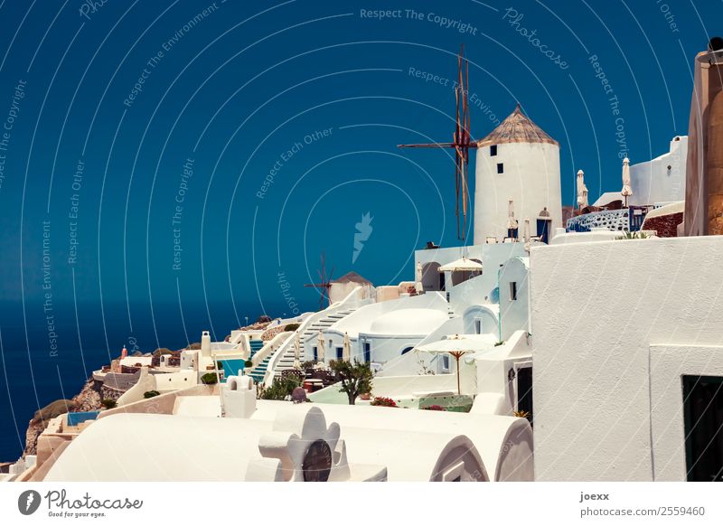 Idyllic white houses on Santorini with windmills in front of blue sky Windmill Summer Vacation & Travel Beautiful weather Oia Colour photo Greece Exterior shot