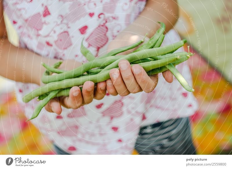 Children's hands holding pole beans Healthy Eating Leisure and hobbies Playing Girl Infancy Youth (Young adults) Life Hand 3 - 8 years 8 - 13 years Nature