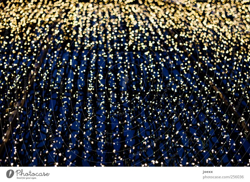 shower of gold Elegant Style Glittering Bright Blue Yellow Gold Black White Moody Christmas fairy lights Fairy lights Colour photo Abstract Pattern Deserted