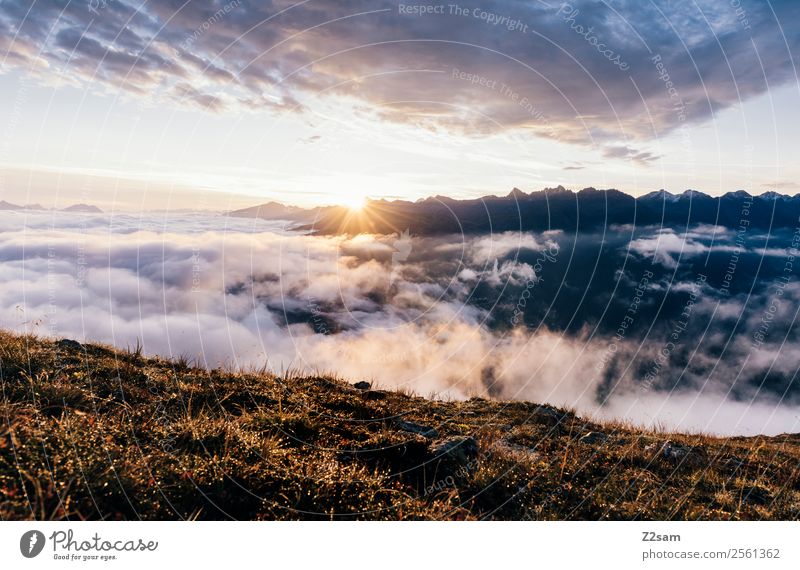 Sunrise | Pitztal Adventure Mountain Environment Nature Landscape Sky Clouds Sunset Sunlight Summer Beautiful weather Fog Alps Peak Exceptional Gigantic