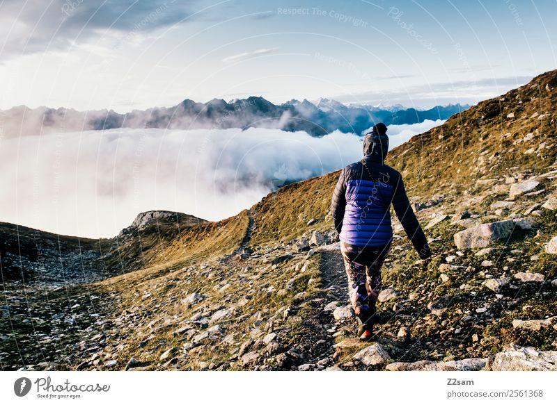 Descent | Summit | Alps | Morning Mountain Hiking Feasts & Celebrations Young woman Youth (Young adults) 30 - 45 years Adults Nature Landscape Sky Clouds