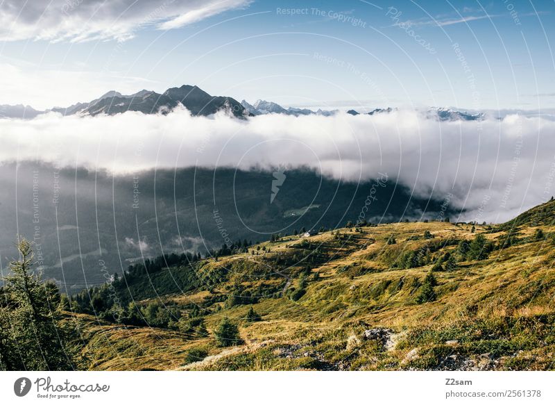 Pitztal Alps | Venet Mountain Hiking Nature Landscape Sky Clouds Summer Beautiful weather Peak Esthetic Far-off places Gigantic Infinity Natural Calm Loneliness