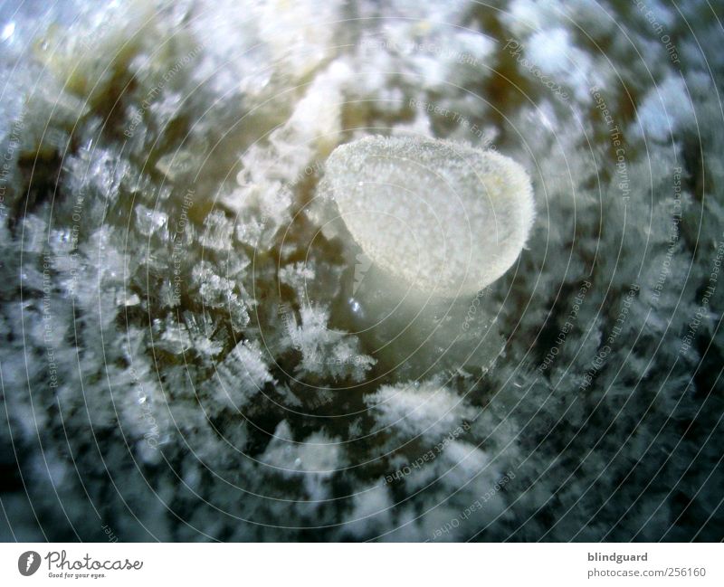 Icecold Diamond Winter Frost Water Freeze Cold Yellow Black White Drop Ice crystal Colour photo Exterior shot Detail Experimental Deserted Day Artificial light