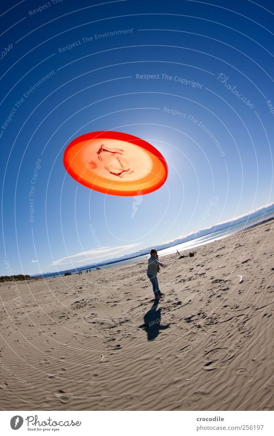 Catch!!! Style Vacation & Travel Tourism Freedom Summer Sun Human being 1 Environment Nature Landscape Coast Beach Dog Throw Power Joy Frisbee Colour photo