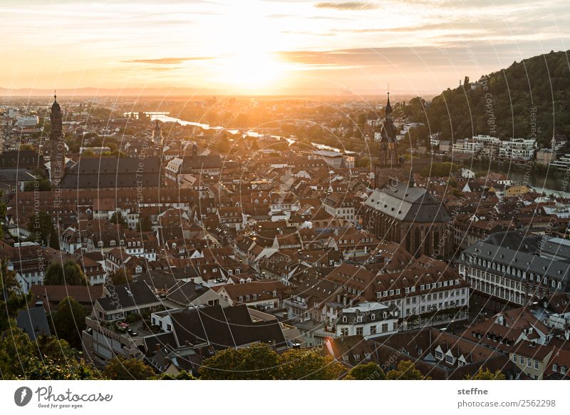 View of the old town of Heidelberg at sunset Sky Sunrise Sunset Sunlight Summer Beautiful weather Old town Church Idyll Romance Religion and faith Colour photo
