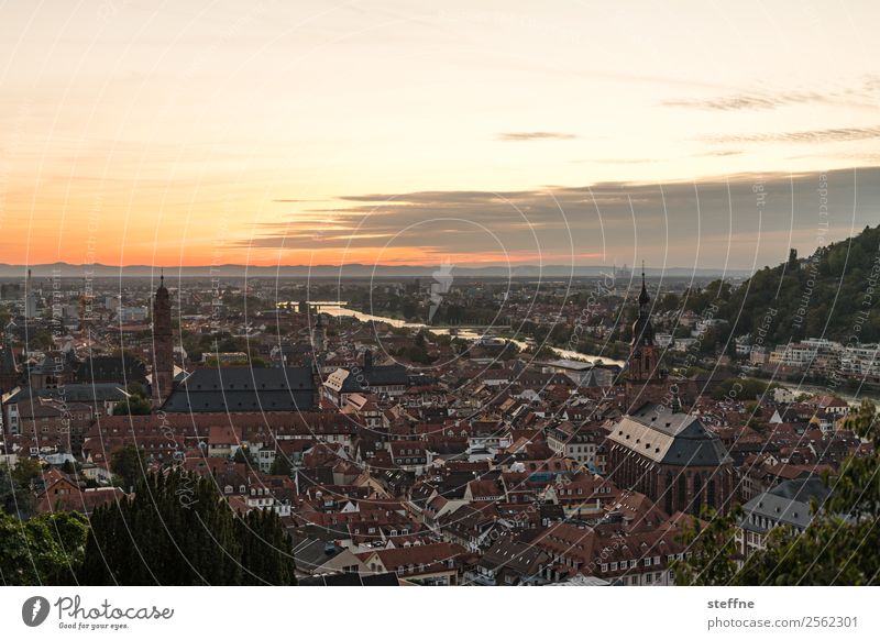 View of the old town of Heidelberg at sunset Sky Sunrise Sunset Sunlight Summer Beautiful weather Old town Church Idyll Religion and faith Neckar Colour photo
