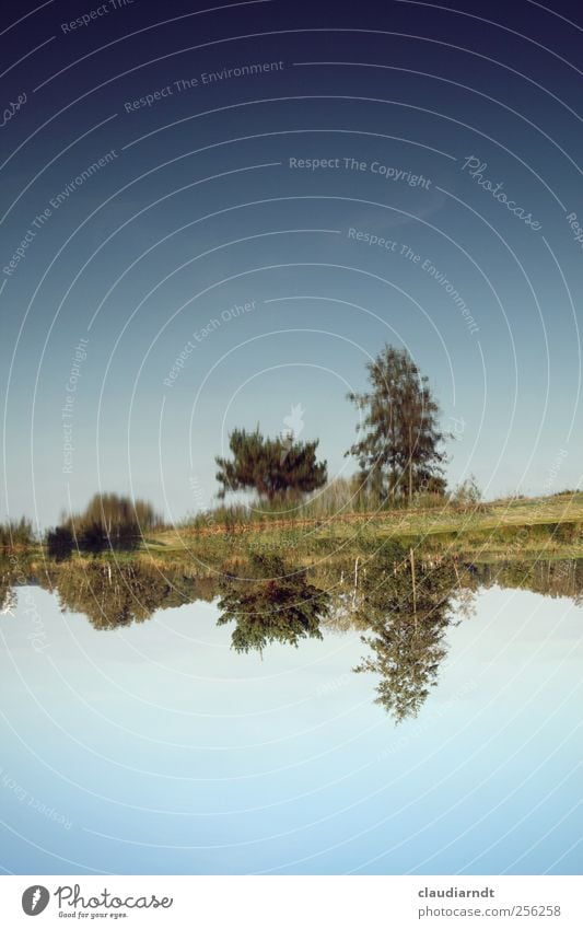 inverted world Nature Landscape Plant Water Sky Cloudless sky Beautiful weather Tree Grass Bushes Pond Lake Exceptional Blue Inverted Reflection Above Under