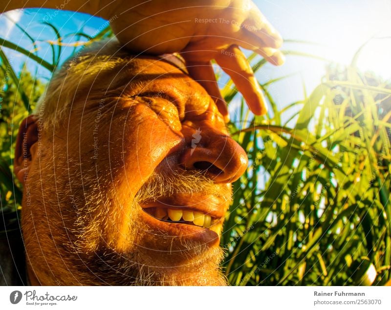 a man looks into the sunlight in a very hot place Human being Masculine Man Adults Male senior Head 1 Environment Nature Sky Sun Sunlight Summer Climate