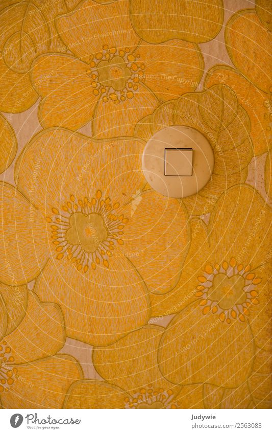 Light switch on yellow floral wallpaper Wallpaper Floral wallpaper Old fashioned Switch buttercup Lighting senior apartment