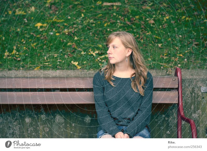 Not an inch. Human being Young woman Youth (Young adults) 1 18 - 30 years Adults Autumn Grass Leaf Park Sweater Blonde Long-haired Bench Observe Sit Dream