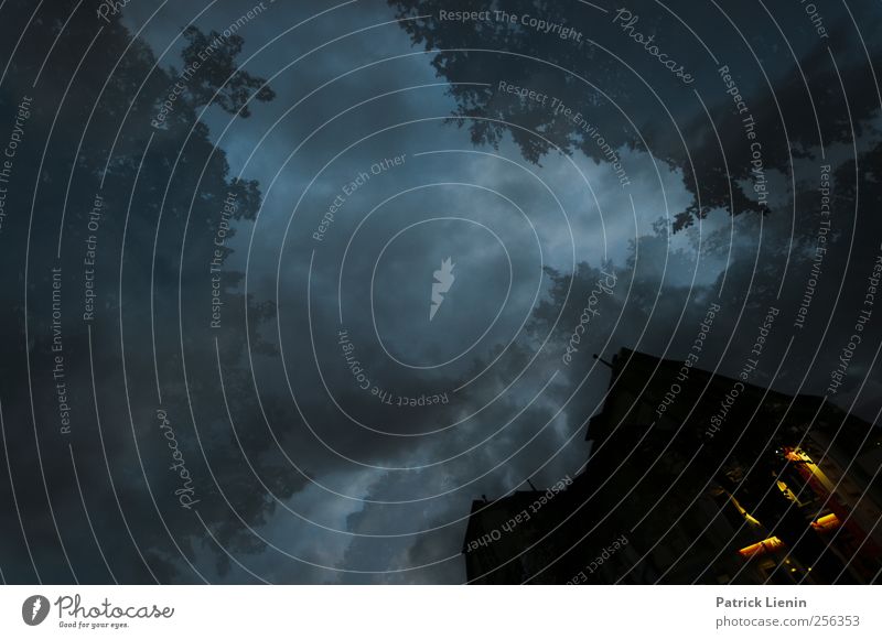 Friend of the night Environment Nature Elements Air Clouds Storm clouds Night sky Bad weather Wind Town House (Residential Structure) Manmade structures