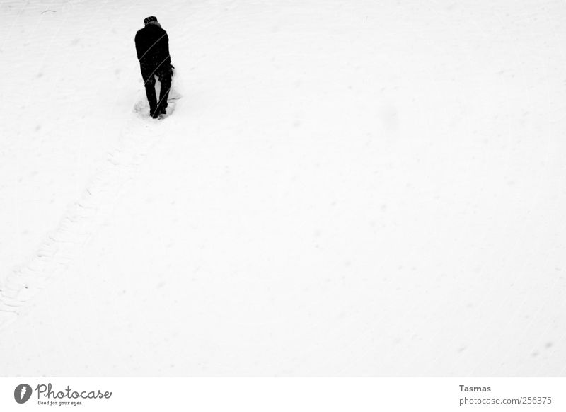 Snowball II Human being Masculine Man Adults 1 Bad weather Snowfall Black White Joy Joie de vivre (Vitality) Spring fever Enthusiasm Playing Guelder rose