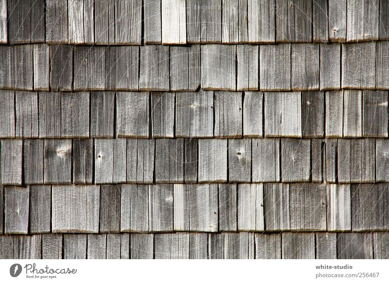 Weathered wood shingles in the Chiemgau mountains Mountain Hiking Alps Hut Facade Roof Roofing tile Wood Old Historic Brown Gray Transience Time Shingle
