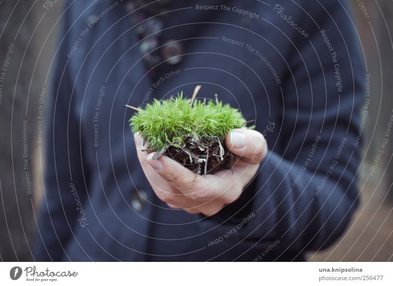 a moss animal Human being Hand Fingers 1 Plant Moss Coat To hold on Natural Soft Green Nature Environment Environmental protection Colour photo Subdued colour