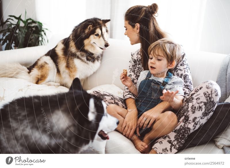 mother and son enjoying time with their husky at home Lifestyle Happy Beautiful Sofa Child Human being Boy (child) Woman Adults Mother Family & Relations Pet