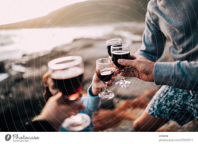 group of friends drinking wine at coast Joy Relaxation Summer Sun Beach Woman Adults Man Friendship Couple Sand Coast Smiling Together Red Quality people picnic