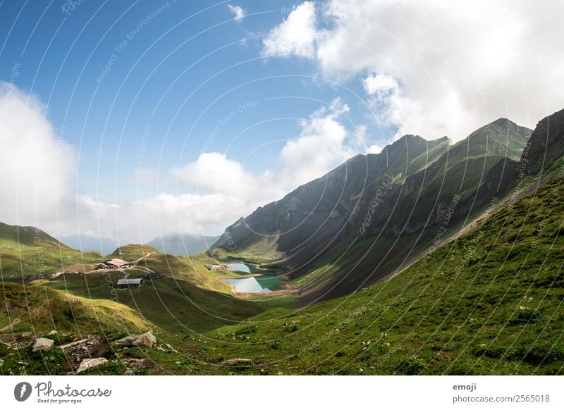 ice lake Environment Nature Landscape Sky Summer Beautiful weather Meadow Alps Mountain Lake Natural Blue Green Mountain lake Switzerland Brienzer Rothorn