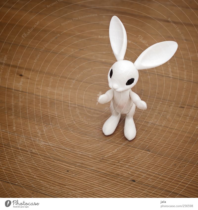 follow the white rabbit Children's game Decoration Easter Animal Hare & Rabbit & Bunny Kitsch Odds and ends White Figure Parquet floor Wooden floor Colour photo