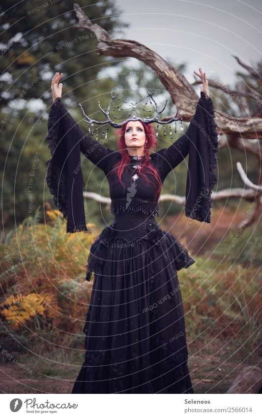 There should be more Fridays! Human being Feminine Woman Adults 1 Autumn Forest Dress Accessory Jewellery Romance conjure Antlers Branchage Lace Gothic style