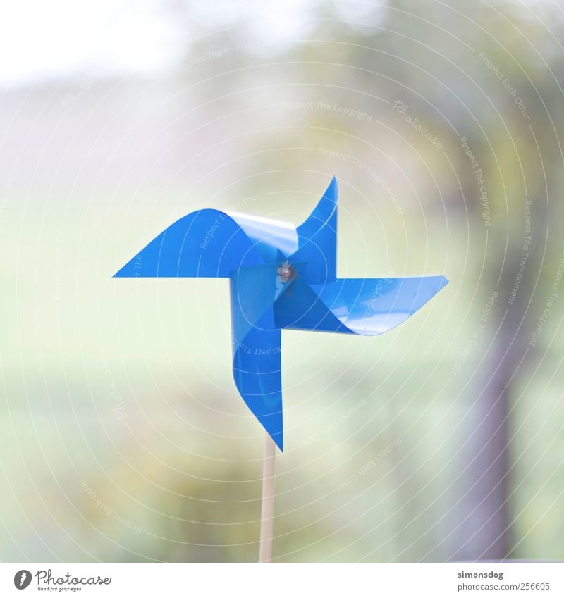 still wind Decoration Broken Blue Pinwheel Plastic Calm Motionless Toys All-weather Colour photo Exterior shot Close-up Deserted Copy Space top