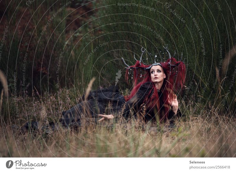 Oh, a deer. Human being Feminine Woman Adults 1 Environment Nature Autumn Bushes Meadow Field Headdress Hair and hairstyles Red-haired Long-haired Fantastic
