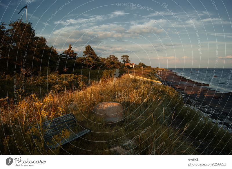 lounge Environment Nature Landscape Plant Sky Clouds Horizon Climate Weather Beautiful weather Warmth Tree Grass Bushes Leaf Wild plant Beach Ocean Baltic Sea