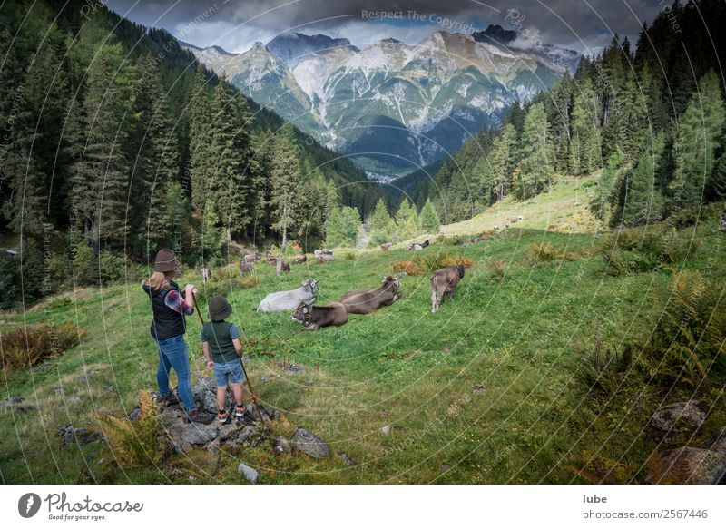 shepherds Adventure Far-off places Freedom Summer Mountain Hiking Agriculture Forestry Environment Nature Landscape Clouds Climate Climate change Weather Hill