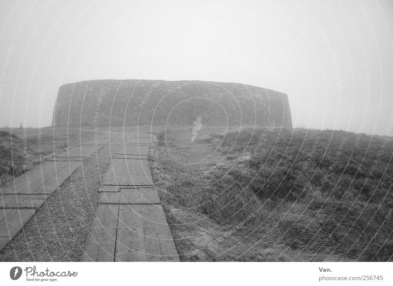 Grianán of Aileach Environment Sky Autumn Bad weather Fog Plant Grass Meadow Ireland Ruin Manmade structures Fortress Wall (barrier) Wall (building)